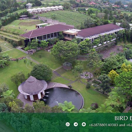 Amaryllis Boutique Resort Paragajen 외부 사진