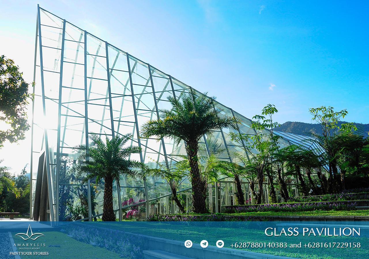 Amaryllis Boutique Resort Paragajen 외부 사진