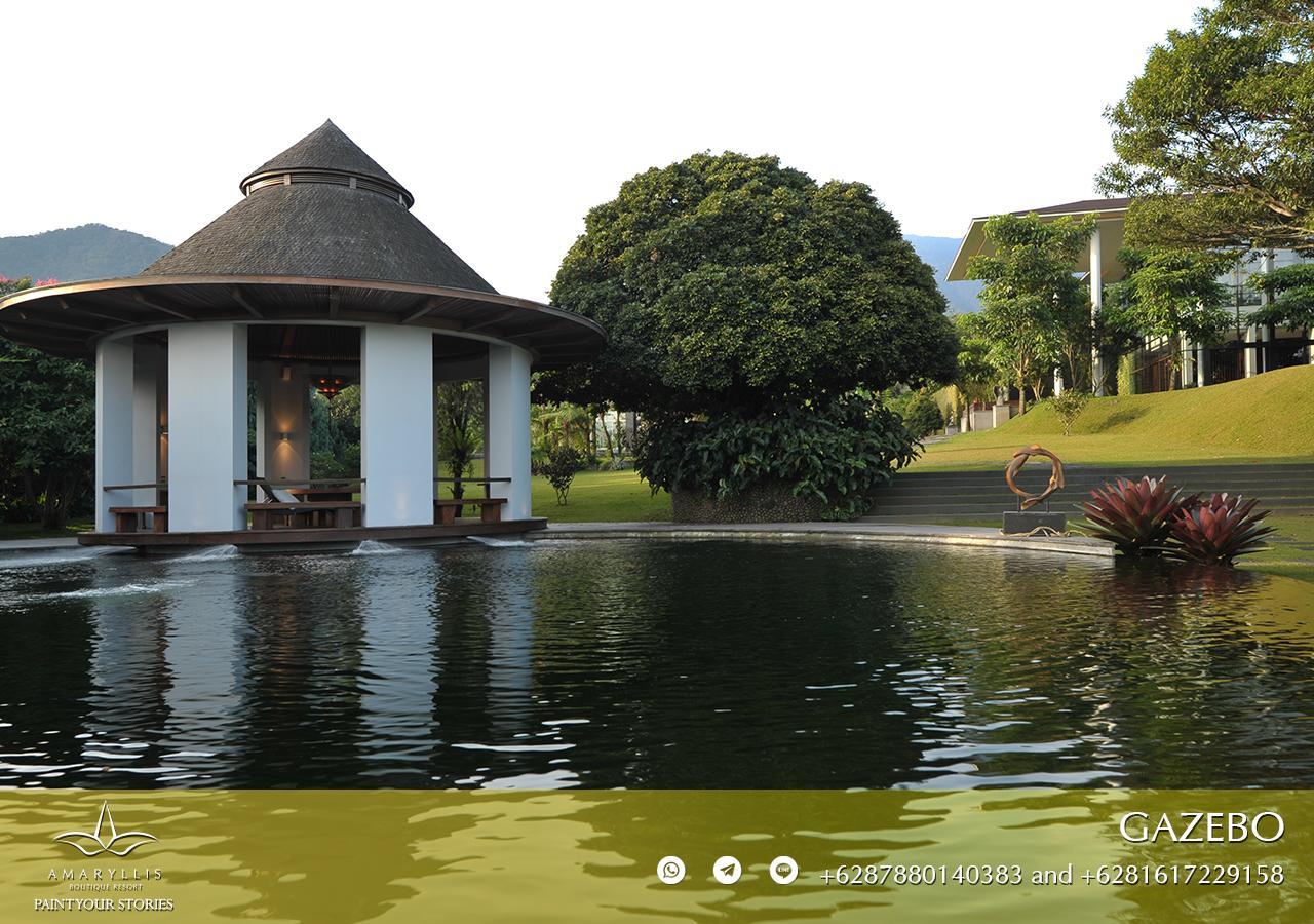 Amaryllis Boutique Resort Paragajen 외부 사진